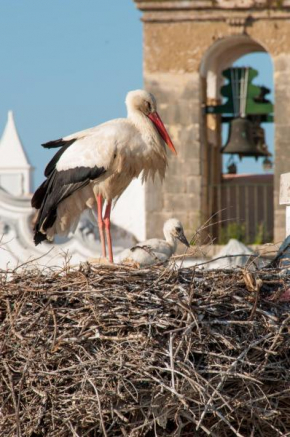 Гостиница Stork Hostel  Ольян